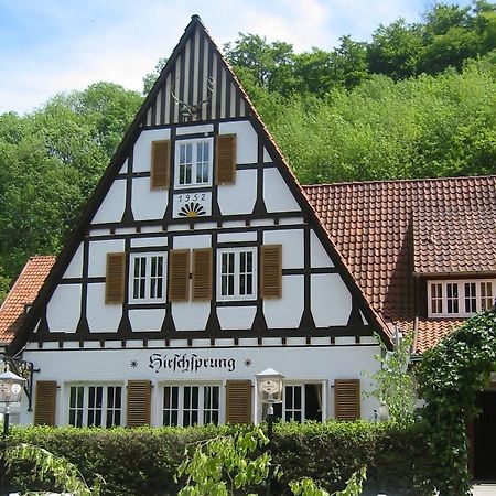 Landhaus Hirschsprung ديتمولد المظهر الخارجي الصورة